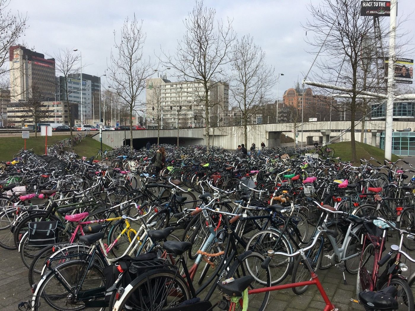 Eindhoven tren istasyonu çevresinde park edilmiş bisikletlerin bir kısmı